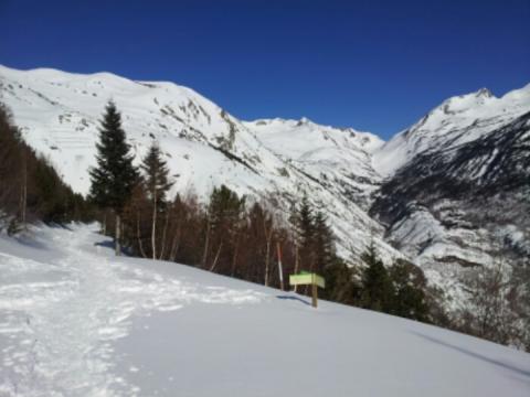 En invierno con raquetas de nieve