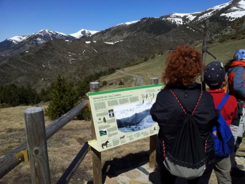 Mirador de Llevant